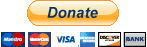 Give a little donation button