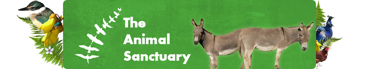 Animal Sanctuary Logo